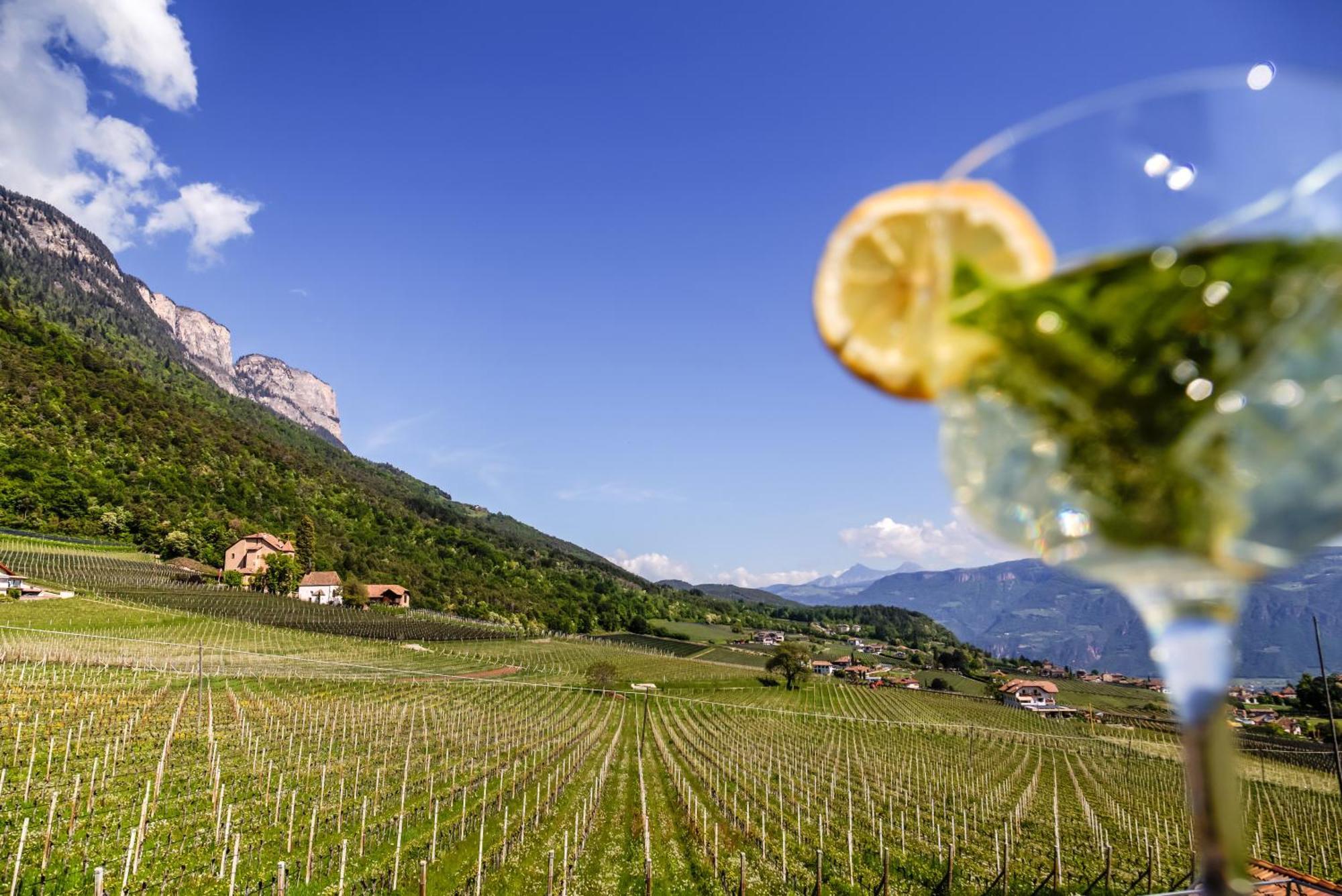 Das Matscher Residence & Garden Hotel Appiano Sulla Strada Del Vino Εξωτερικό φωτογραφία