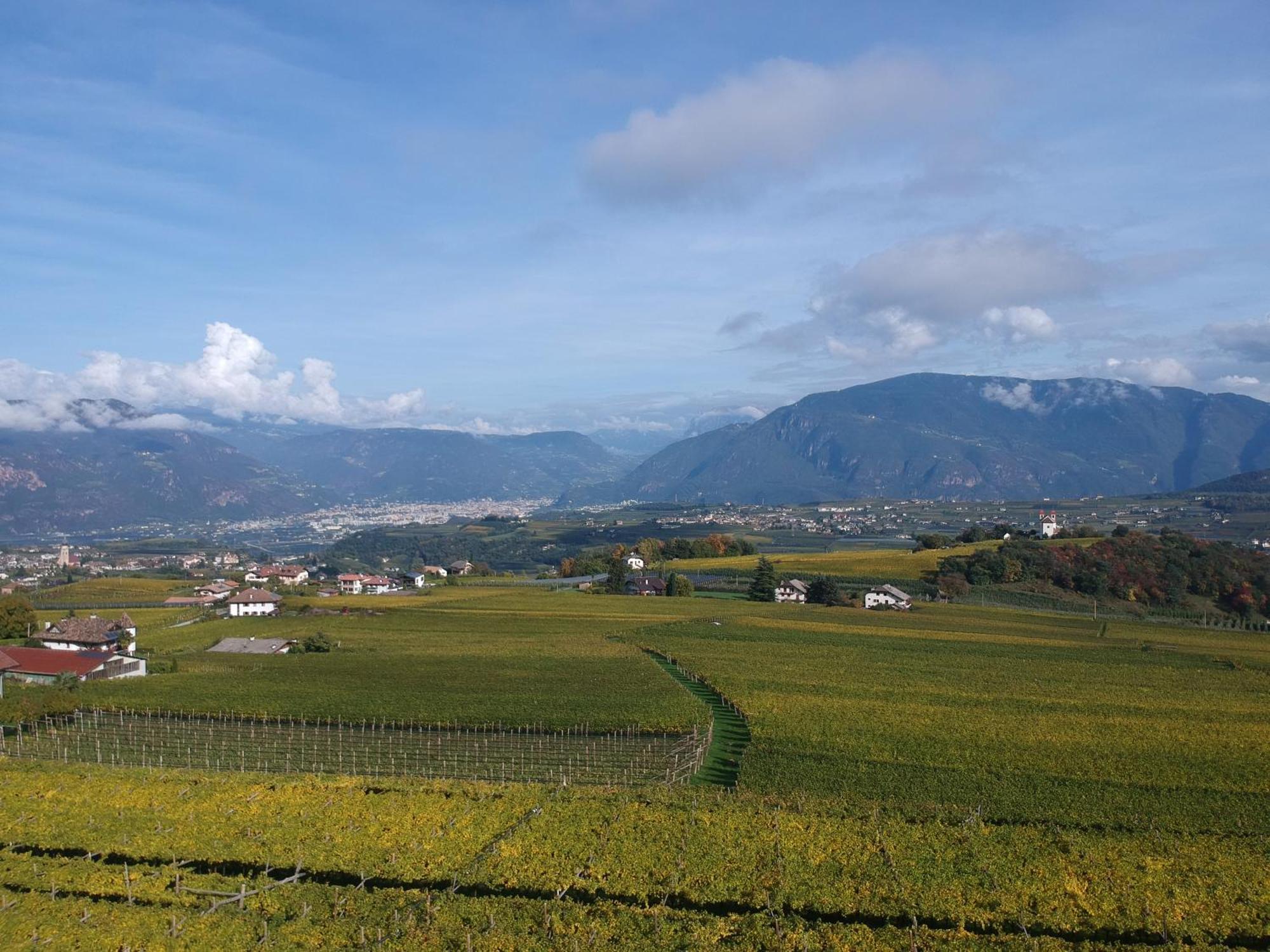 Das Matscher Residence & Garden Hotel Appiano Sulla Strada Del Vino Εξωτερικό φωτογραφία